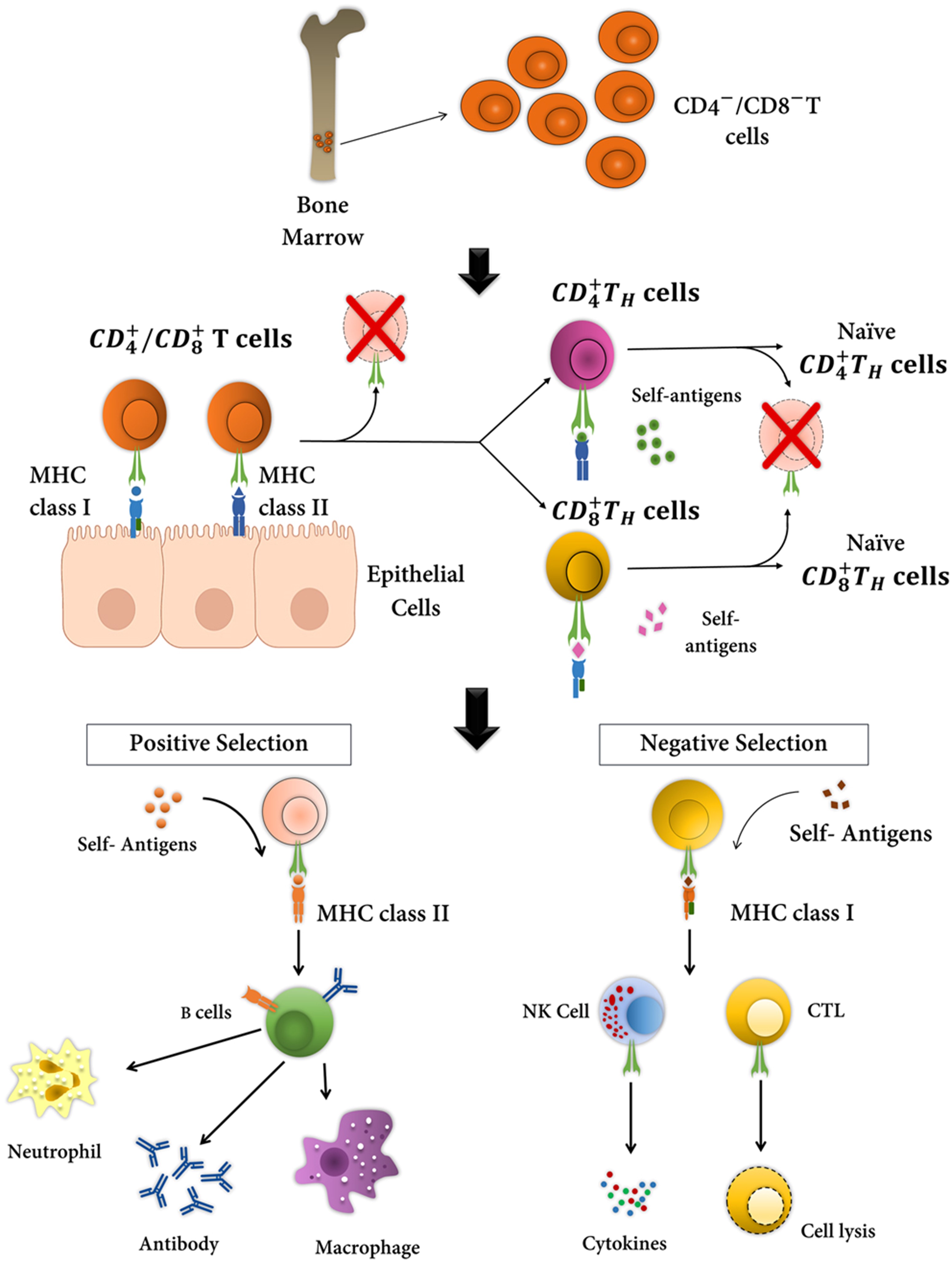 【佳学基因检测】格雷夫斯病基因检测Graves disease